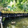 การศึกษาดูงาน ณ ศูนย์ฝึกโรงเรียนจิตอาสา ๙๐๔ (บางเขน) โรงเรียนจิตอาสาพระราชทาน